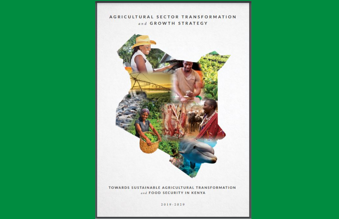 Geospatial decision support system for KilimoSTAT (Open Data Platform)